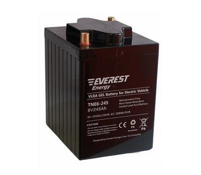 Everest Energy TNE6-245 (6V-200AH/C5) Аккумулятор
