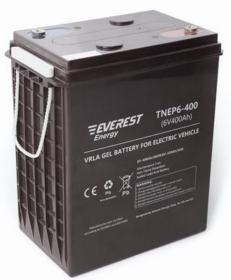 Everest Energy TNE6-400 (6V-320AH/C5) (3-DF-320) Аккумулятор