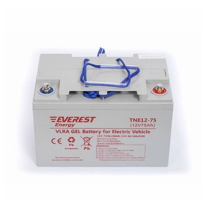 Everest Energy TNE 12-75 (6-EVF-60) Аккумулятор