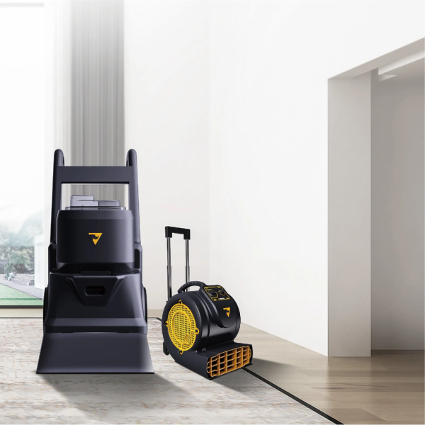 Chancee FA650 Фен для сушки ковров  