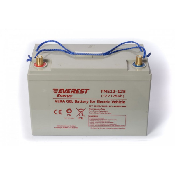 Everest Energy TNE12-125 (12V-106AH/C5) Аккумулятор